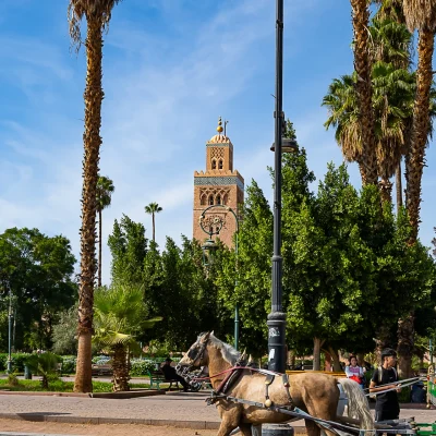 Marrakech
