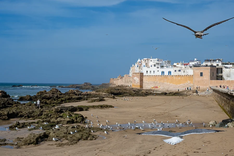 13-day private luxury Morocco tour from Tangier to the Sahara Desert with Moroccan Odysse
