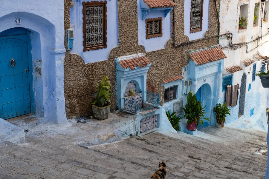 14-day Morocco tour from Marrakech featuring imperial cities, Sahara Desert, Atlas Mountains, and cultural experiences