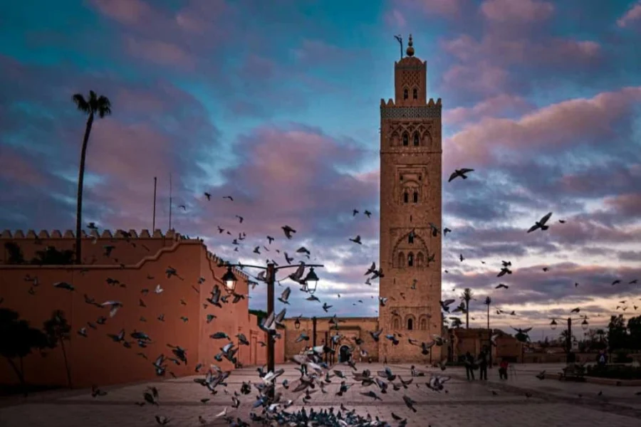 Atlas Explorer: Hiking and Heritage Tours from Marrakech 12 DAY