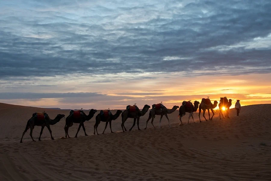 Sahara Serenity: Discovering the Far Desert 4 DAYS