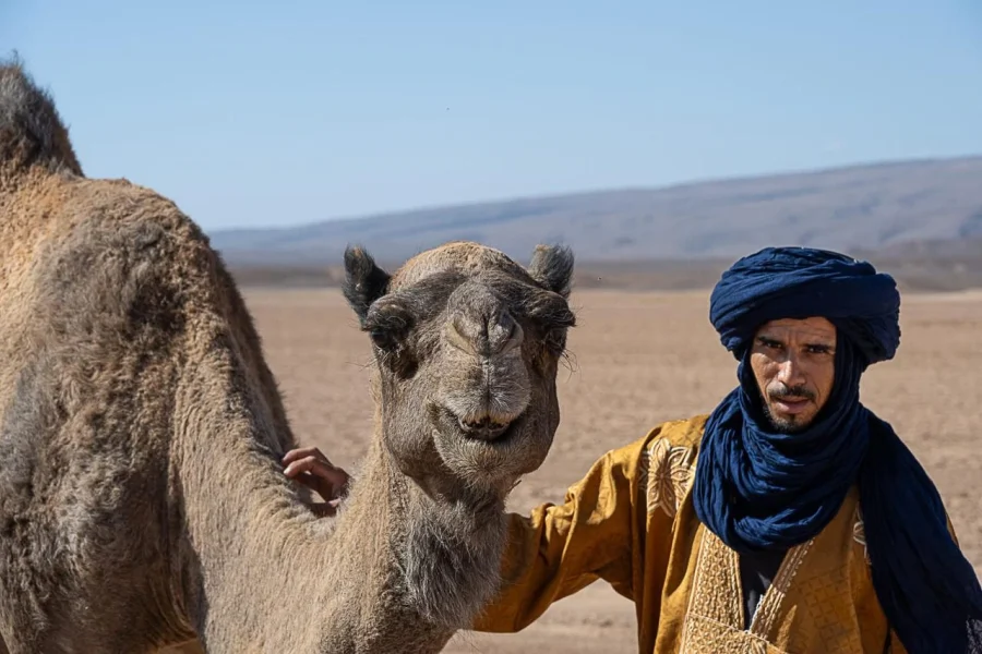 14-day Morocco tour from Marrakech featuring imperial cities, Sahara Desert, Atlas Mountains, and cultural experiences