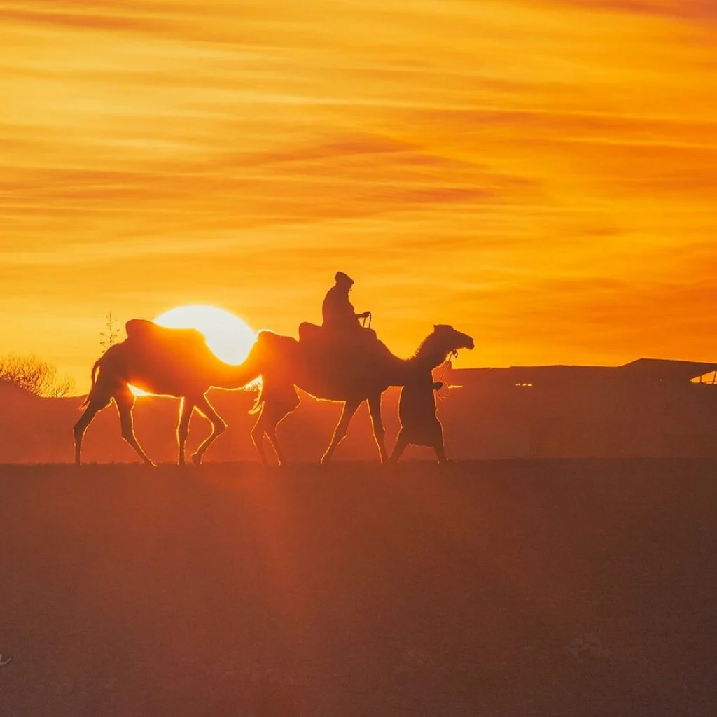 Ultimate Guide to Private Morocco Tours: Everything You Need to Know in 2025