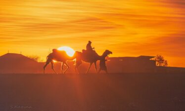 Ultimate Guide to Private Morocco Tours: Everything You Need to Know in 2025