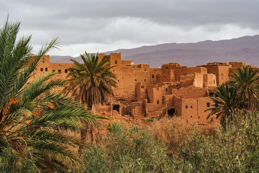 Beyond Marrakech: Epic Adventures in the Sahara 05 Days
