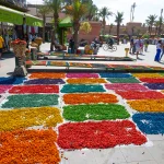 Discover Morocco through its rich culture, ancient cities, Atlas Mountains, and the golden dunes of the Sahara Desert