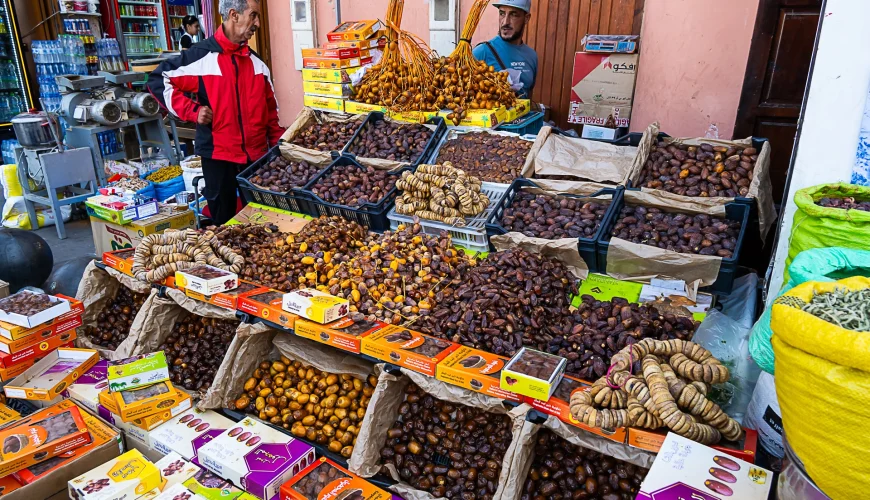 Premium Medjool dates from Morocco photographed in the Sahara Desert oasis