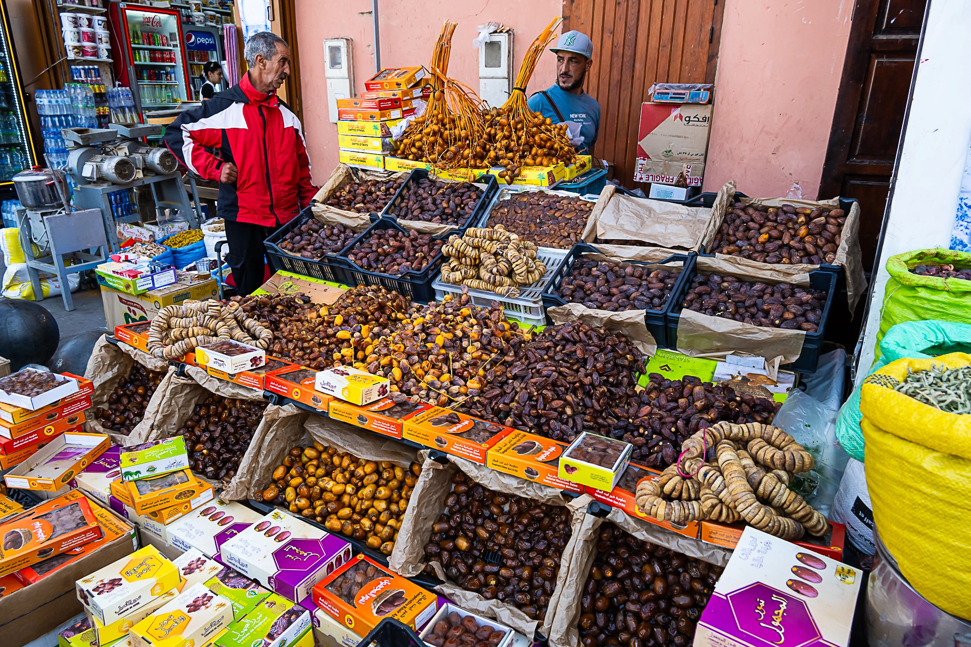 Premium Medjool dates from Morocco photographed in the Sahara Desert oasis